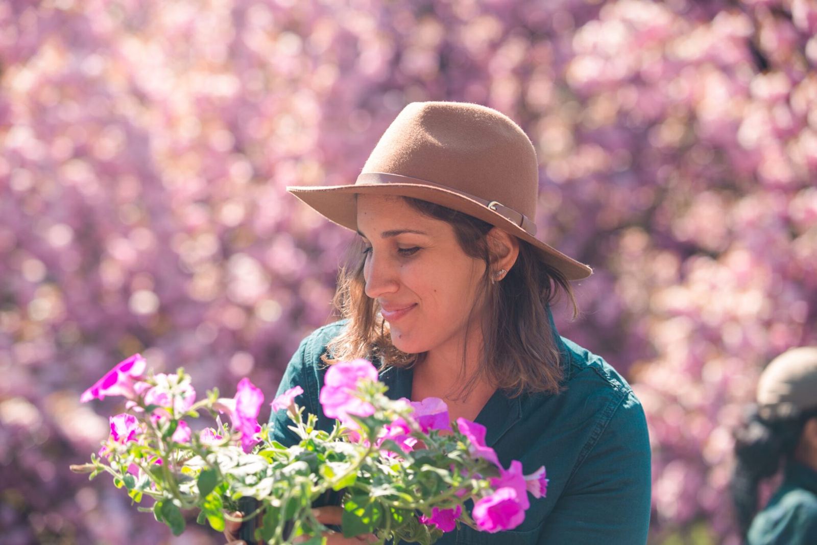 Dahlia holding a bunch of flowers